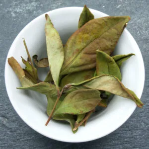 Feuilles de Cui Feng Blanc