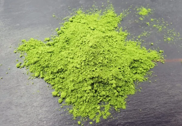 Poudre de matcha de Uji