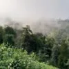 Népal Vert – Image 4