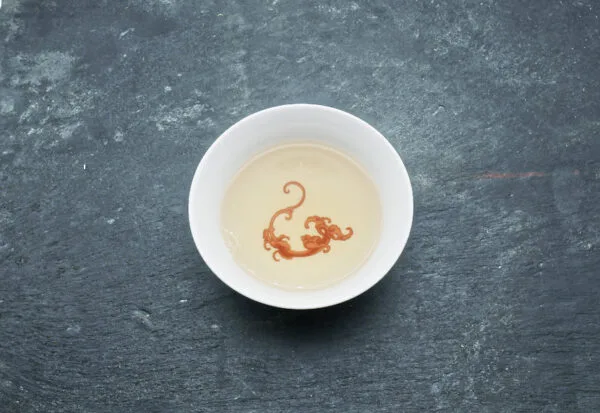 Tasse de Mi Xiang 2024