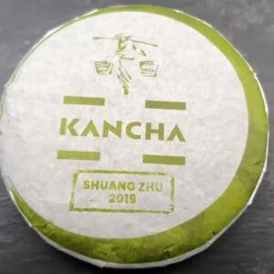 Shuang Zhu 2019