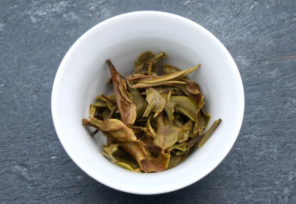 Feuilles infusées de Blanc des Brumes
