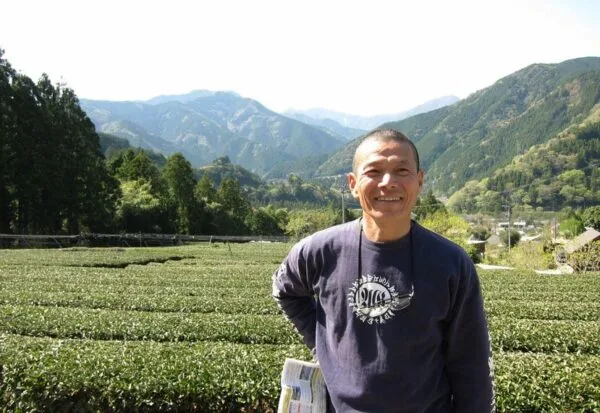 Pack Sencha - Wakocha
