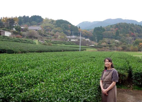 Unkai – Image 4