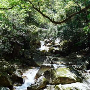 Rivière traversant Tongmu Guan
