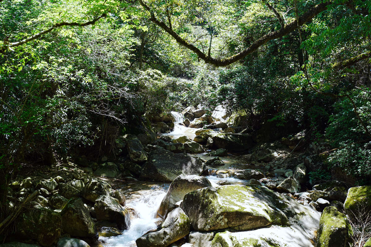 Rivière traversant Tongmu Guan