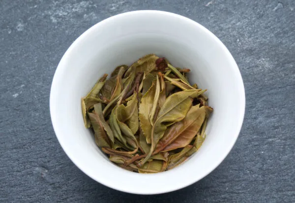 Feuilles infusées de Lao Shu Bai Cha