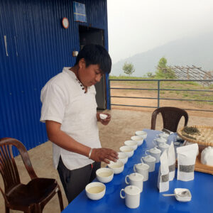 Tea Tasting au Népal