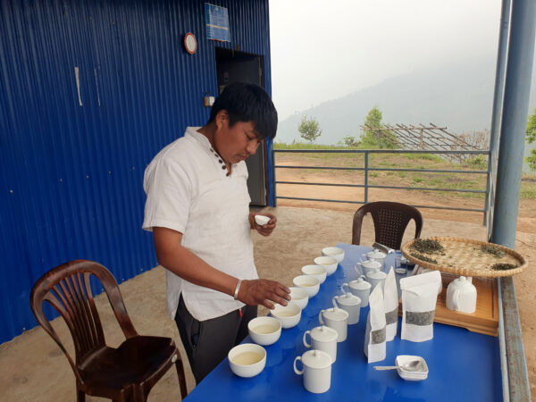 Tea Tasting au Népal