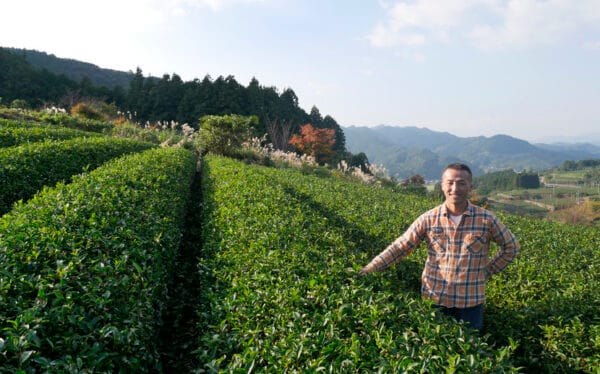 Yusuke Ota dans son jardin de thé bio à Ureshino, Japon.