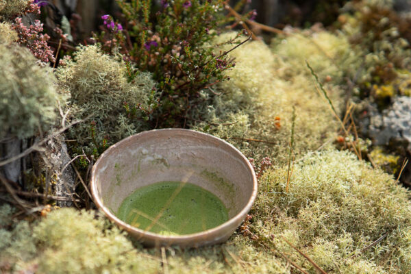 Matcha Mori – Image 2